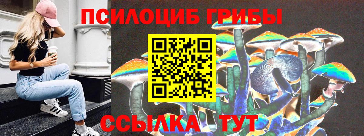 Псилоцибиновые грибы прущие грибы Клин