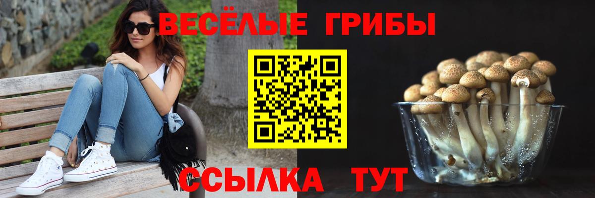 Псилоцибиновые грибы Magic Shrooms  Вход с VPN  Клин 